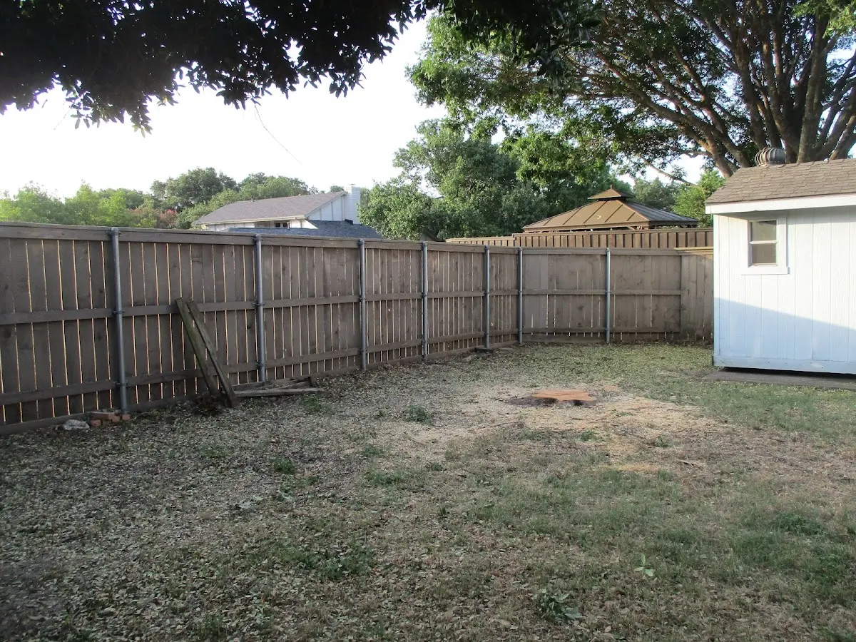 Cleared yard after professional tree removal in Tifton